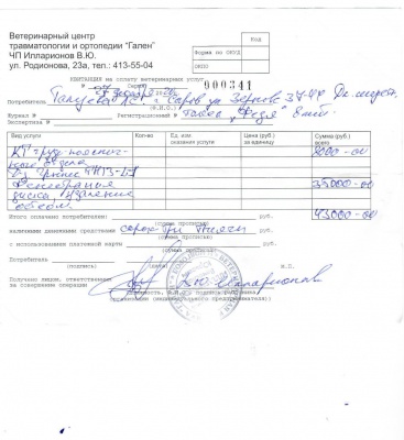 Чек на оплату услуг.jpg